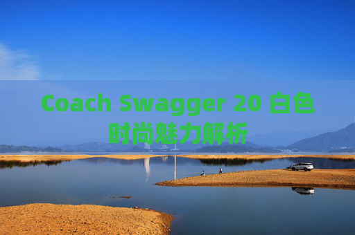 Coach Swagger 20 白色时尚魅力解析